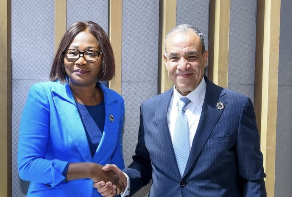 وزير الخارجية يلتقي وزيرة خارجية جمهورية أفريقيا الوسطى