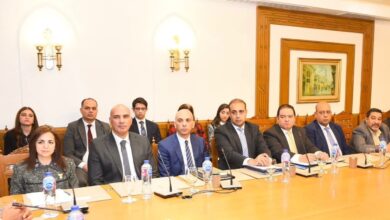 وزير الخارجية ونظيره السوداني يشاركان في احتفالية تكريم الفريق الطبي المصري المشارك في القافلة الطبية إلى السودان