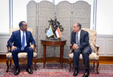 مشاورات مصرية – صومالية لدعم الشراكة الاستراتجية بين البلدين