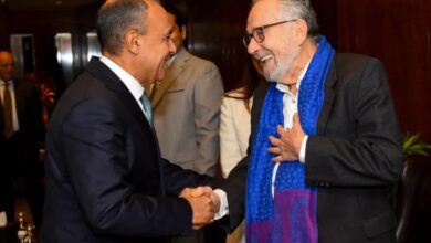 وزير الخارجية يستقبل المقرر الخاص المعني بالحق في المياه في مستهل زيارته إلى مصر وزير الخارجية يستقبل المقرر الخاص المعني بالحق في المياه في مستهل زيارته إلى مصر