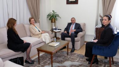 سفيرة الاتحاد الأوروبي الأوروبي في لقاء الدكتور المنزلاوي بالجامعة العربية