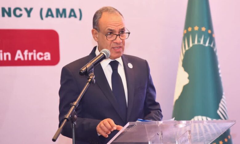 وزير الخارجية يطرح رؤية مصر الشاملة لتعزيز التصنيع الدوائي والأمن الصحي في أفريقيا وزير الخارجية يطرح رؤية مصر الشاملة لتعزيز التصنيع الدوائي والأمن الصحي في أفريقيا