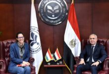 الهيئة العامة للاستثمار والمناطق الحرة تبحث تعزيز الشراكة الاستثمارية بين مصر والمجر