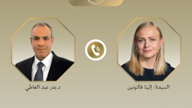 اتصال هاتفى بين وزير الخارجية ونظيرته الفنلندية