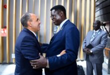 وزير الخارجية يلتقي بنظيره الجنوب سوداني على هامش مجلس السلم والأمن الأفريقي