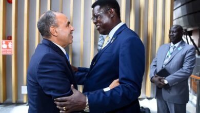 وزير الخارجية يلتقي بنظيره الجنوب سوداني على هامش مجلس السلم والأمن الأفريقي