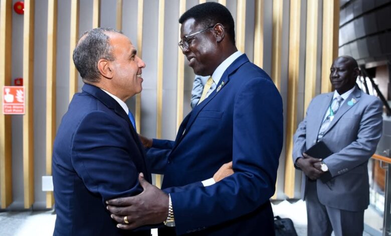 وزير الخارجية يلتقي بنظيره الجنوب سوداني على هامش مجلس السلم والأمن الأفريقي
