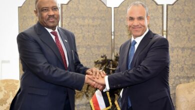 وزير الخارجية يبحث مع نظيره السوداني مستجدات الأوضاع في السودان وسبل دعم جهود التسوية الشاملة