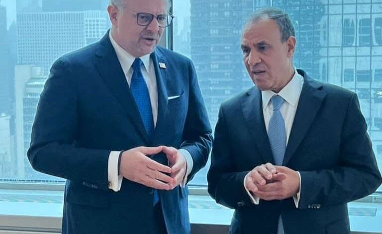 وزير الخارجية يشارك في اجتماع حول التطورات فى السودان بنيويورك