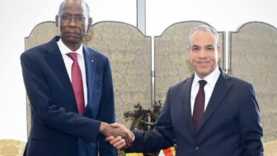 مباحثات مصرية سنغالية لتعزيز الشراكة الاستراتيجية ودعم جهود التنمية والاستقرار في القارة الأفريقية