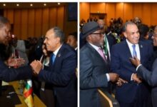 وزير الخارجية يلتقي رئيس جمهورية أفريقيا الوسطى ورئيس وزراء الكاميرون على هامش القمة الأفريقية