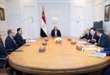 السيسي يلتقي رئيس شركة GCL الصينية لبحث توطين صناعة الطاقة المتجددة في مصر