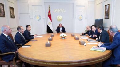 السيسي يلتقي رئيس شركة GCL الصينية لبحث توطين صناعة الطاقة المتجددة في مصر