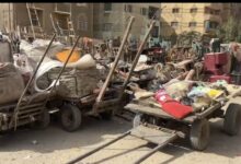 محافظ الجيزة: ضبط والتحفظ على 57 عربة كارو وتروسيكل خلال حملات موسعة للتصدي للنباشين والفريزة