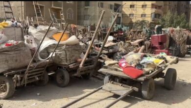 محافظ الجيزة: ضبط والتحفظ على 57 عربة كارو وتروسيكل خلال حملات موسعة للتصدي للنباشين والفريزة