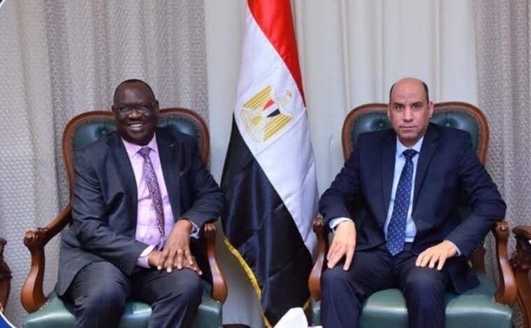 تعزيز التعاون في مجالات التنمية وبناء القدرات البشرية بين مصر وجنوب السودان