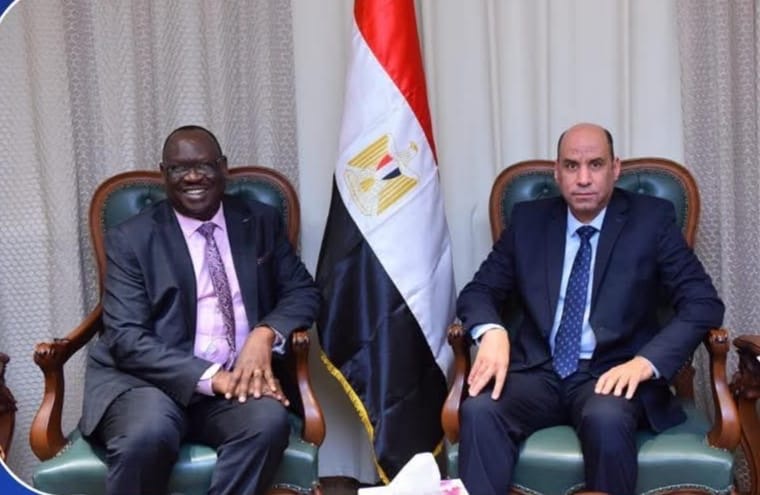 تعزيز التعاون في مجالات التنمية وبناء القدرات البشرية بين مصر وجنوب السودان