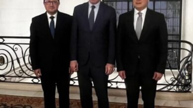 مشاورات مصرية تركية لتعزيز الاستقرار وتحقيق التنمية في أفريقيا