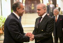 بتوجيهات من السيد رئيس الجمهورية، وزير الخارجية يلتقى رئيس الوزراء الباكستاني لتعزيز التنسيق المشترك لخفض التصعيد فى الاقليم