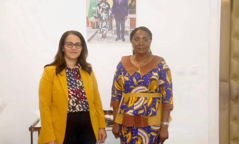 السفيرة المصرية تلتقي بوزيرة الخارجية الجابونية السفيرة المصرية تلتقي بوزيرة الخارجية الجابونية