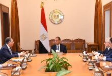 وزير الخارجية يوجه بتكثيف متابعة أوضاع المصريين بالخارج وتيسير الخدمات القنصلية