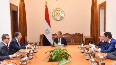 وزير الخارجية يوجه بتكثيف متابعة أوضاع المصريين بالخارج وتيسير الخدمات القنصلية