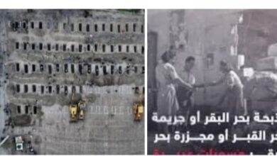 من ميناب ايران إلى بحر البقر المصري دم الأطفال واحد والوجع واحد