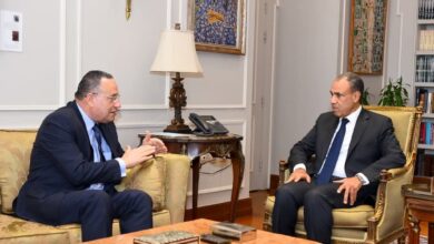 وزير الخارجية يستقبل وزير التعليم العالى والبحث العلمى لبحث سبل تعزيز التعاون والتنسيق بين الوزارتين