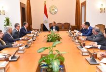 وزير الخارجية يوجه بتكثيف متابعة أوضاع المصريين بالخارج وتيسير الخدمات القنصلية