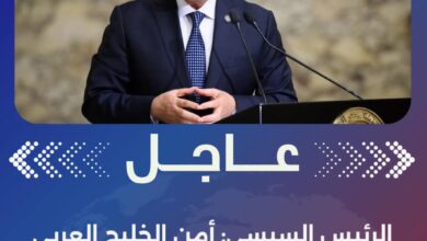 الرئيس السيسي: أمن الخليج العربي جزء لا يتجزأ من الأمن القومي المصري