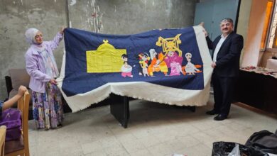 بشرى سارة لمحبي الفنون، الدراسة بدون مقابل