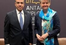 وزير الخارجية ونظيرته البريطانية يبحثان سبل دعم العلاقات الثنائية ومستجدات الوضع الاقليمى