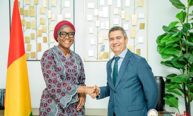 سفير مصر في كوناكري يسعى لجعل غينيا مركز زراعي متقدم في غرب أفريقيا بخبرات مصري