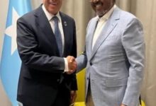 وزير الخارجية يلتقي الرئيس الصومالي ويؤكد مواصلة دعم مصر للصومال وتعزيز الشراكة الاستراتيجية بين البلدين