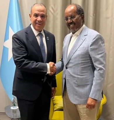 وزير الخارجية يلتقي الرئيس الصومالي ويؤكد مواصلة دعم مصر للصومال وتعزيز الشراكة الاستراتيجية بين البلدين