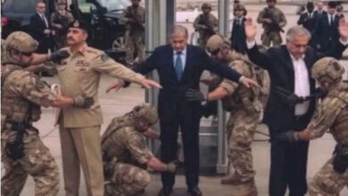 فتشني فتش … على راي اسماعيل يس في فيلم ابن حميدو فتشني فتش … على راي اسماعيل يس في فيلم ابن حميدو