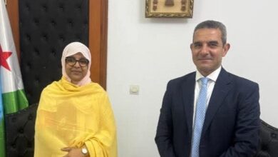 تنظيم برامج تدريبية وبناء شراكات مؤسسية بين الجهات القضائية في مصر وجيبوتي