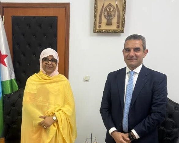 تنظيم برامج تدريبية وبناء شراكات مؤسسية بين الجهات القضائية في مصر وجيبوتي