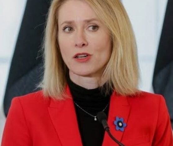 اوروبا تبذل جهودا ومساعي رفيعة المستوى لإصلاح ماافسدته حرب الاربعين يوماً اوروبا تبذل جهودا ومساعي رفيعة المستوى لإصلاح ماافسدته حرب الاربعين يوماً