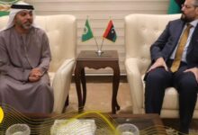 تعزيز التنسيق الليبي الإماراتي خلال مباحثات بالقاهرة