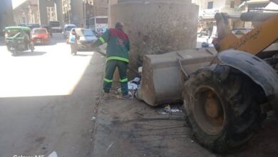 محافظ الجيزة يزيل موقف عشوائي للسرفيس بشارع محمد حجازي ويوجه بحملات مكبرة على مواقف السرفيس العشوائية بإمبابة لضبط الشارع