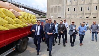 محافظ الجيزة يتفقد صومعة إمبابة لمتابعة انتظام توريد وتخزين محصول القمح
