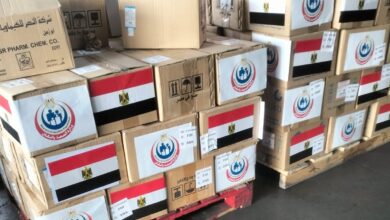 في إطار دعم الأمن الصحي بالقارة.. مصر ترسل شحنة أدوية ومستلزمات طبية إلى الكونغو الديمقراطية وأوغندا لمواجهة الإيبولا