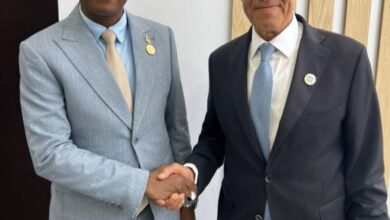 وزير الخارجية يلتقي رئيس وزراء بوروندي