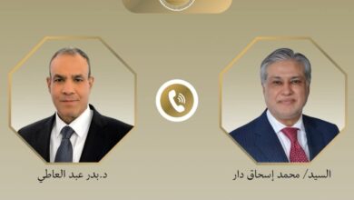 وزير الخارجية يبحث هاتفياً مع نظيره الباكستاني سبل تعزيز العلاقات الثنائية وخفض التصعيد الإقليمي
