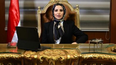 منار البطران: لقاء الرئيس السيسي والشيخ محمد بن زايد يعكس قوة العلاقات المصرية الإماراتية